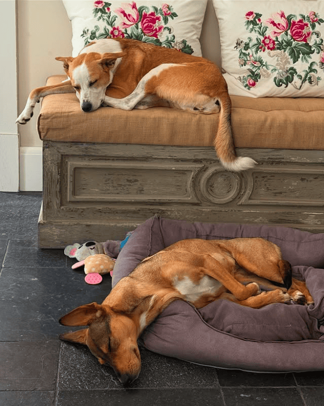 Tak mieszka Kuba Badach i Ola Kwaśniewska. To nie jest typowa willa gwiazd