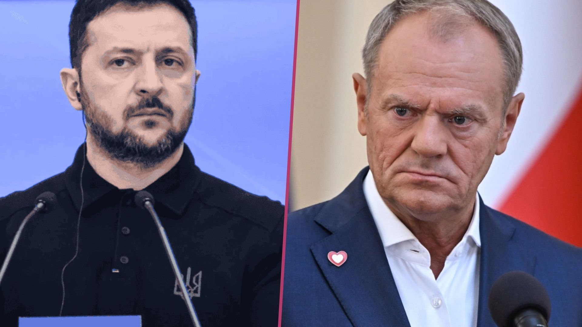 Donald Tusk, Wołodymyr Zełenski