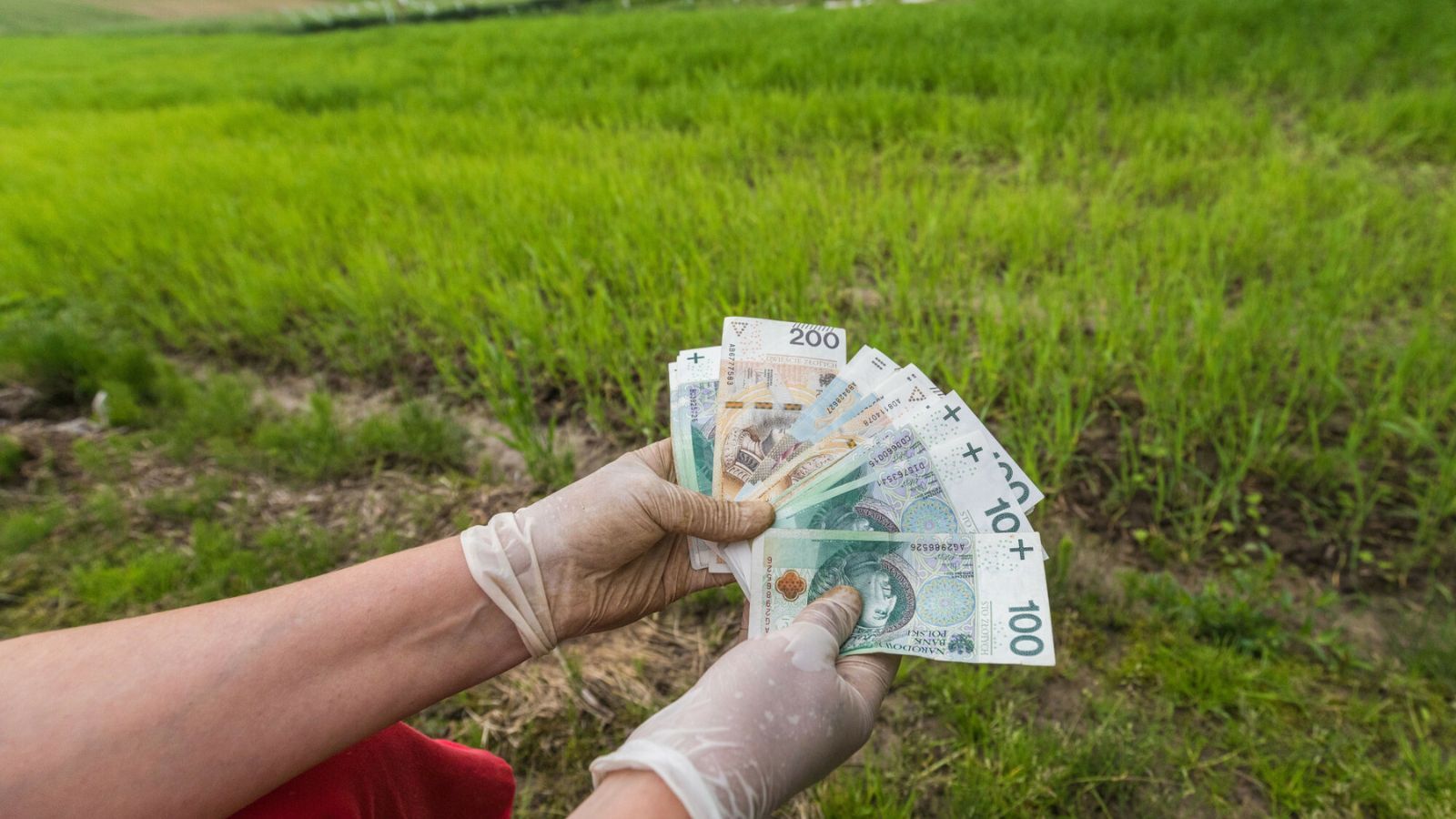 Magdalena Fordymacka