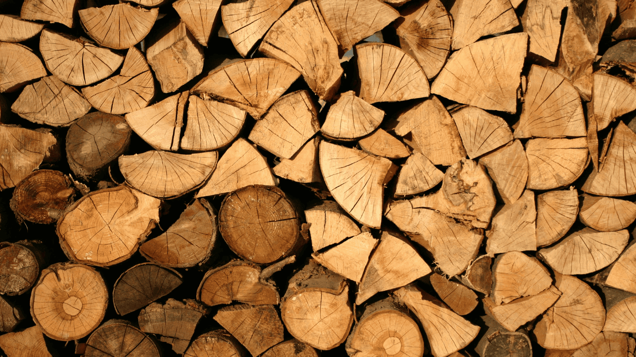 Wiadomo, ile kosztuje drewno na nadchodzącą zimę. Ceny zaskoczą niejednego