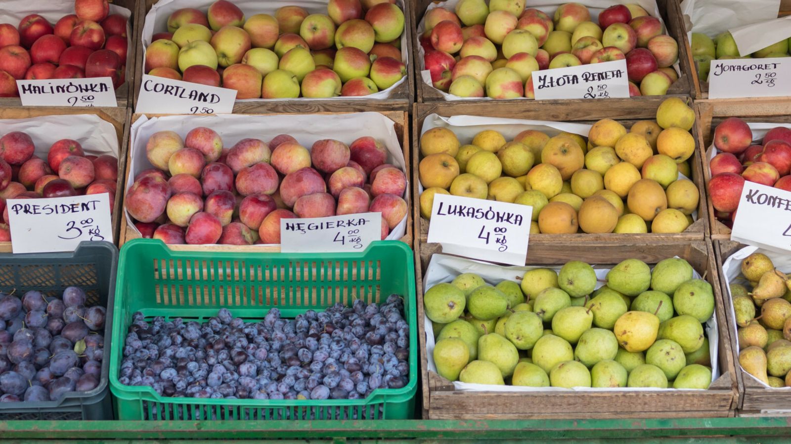 Michał Troszkiewicz