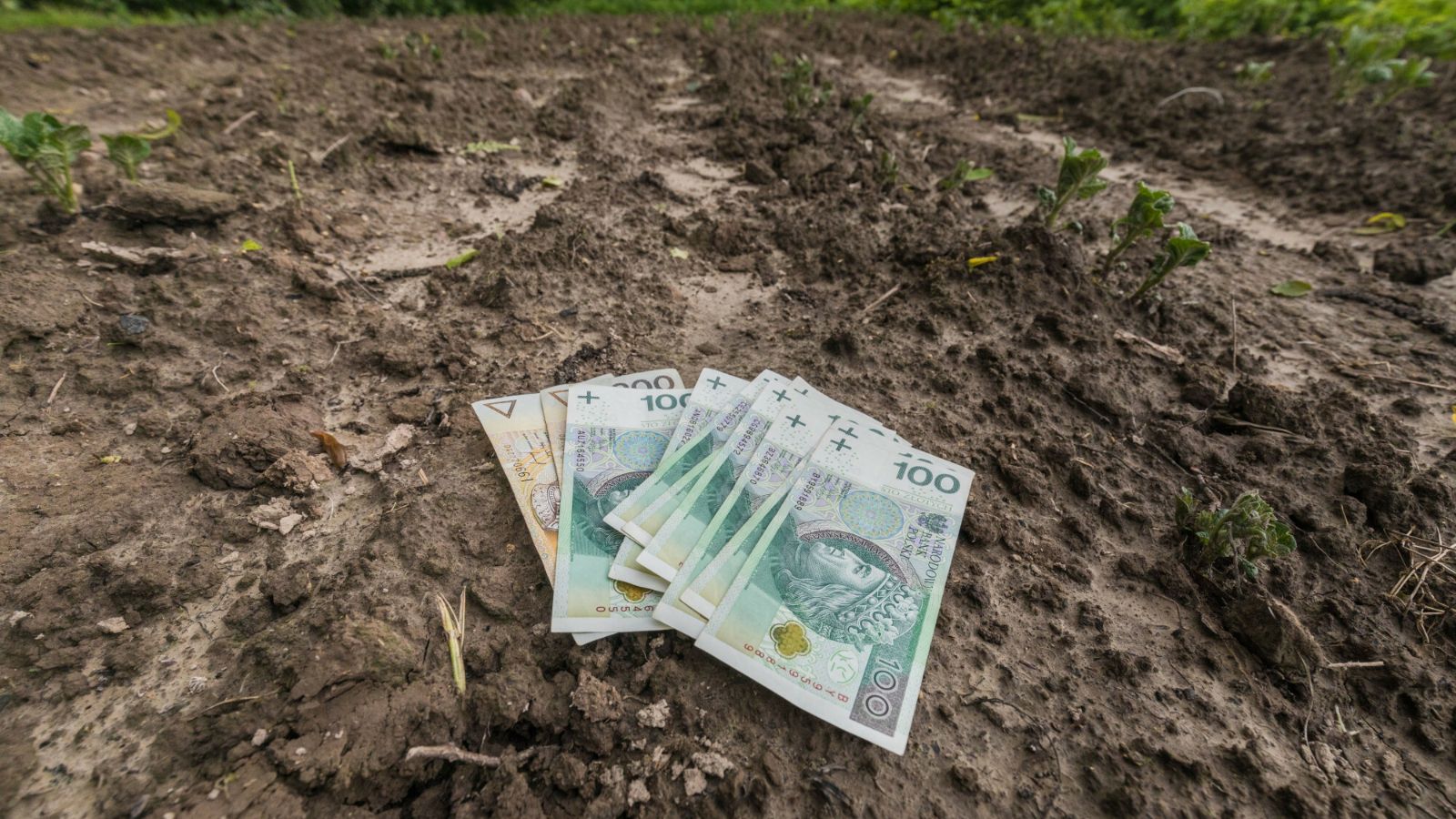 Michał Troszkiewicz