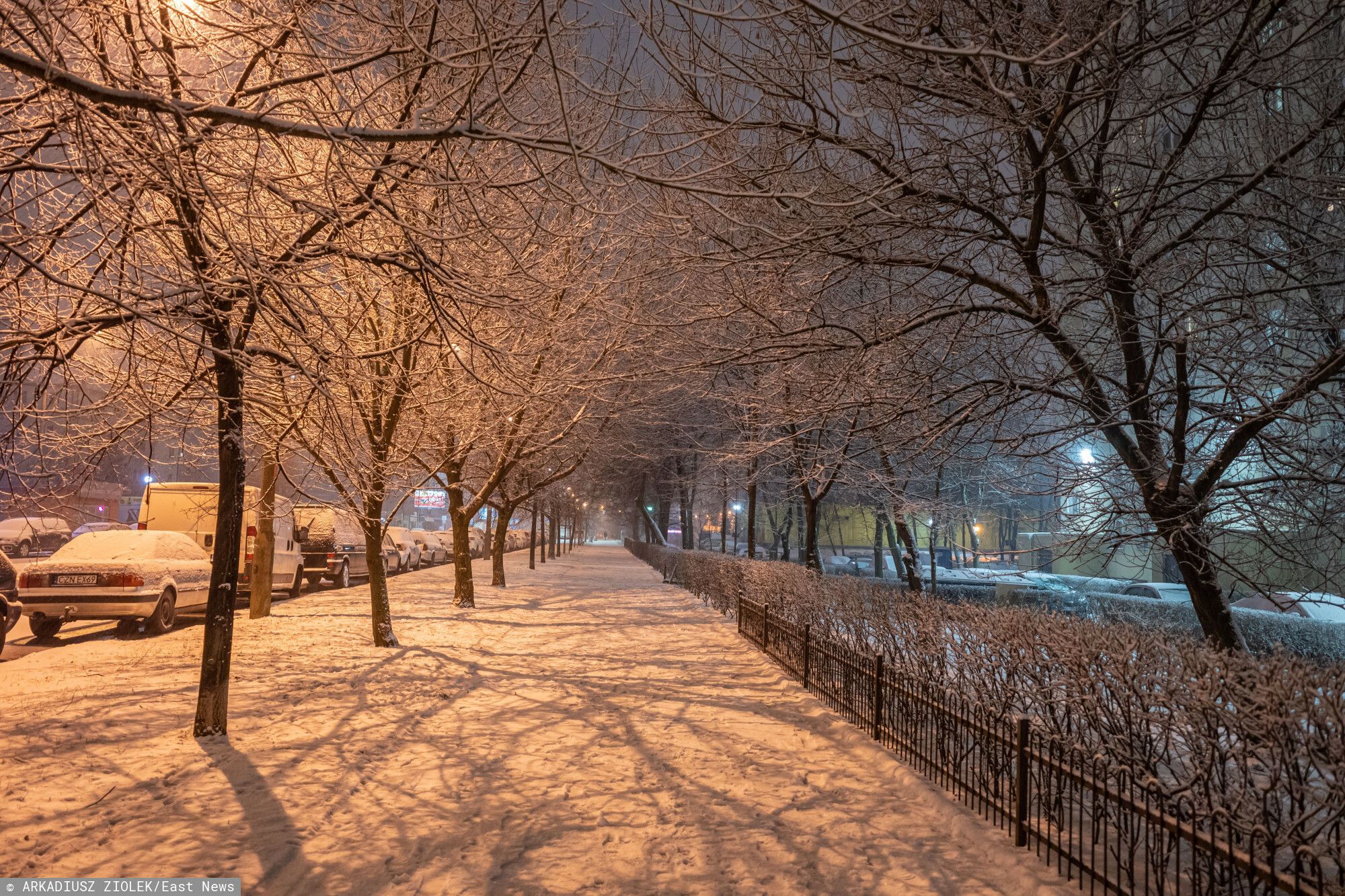 śnieg zima noc drzewa park