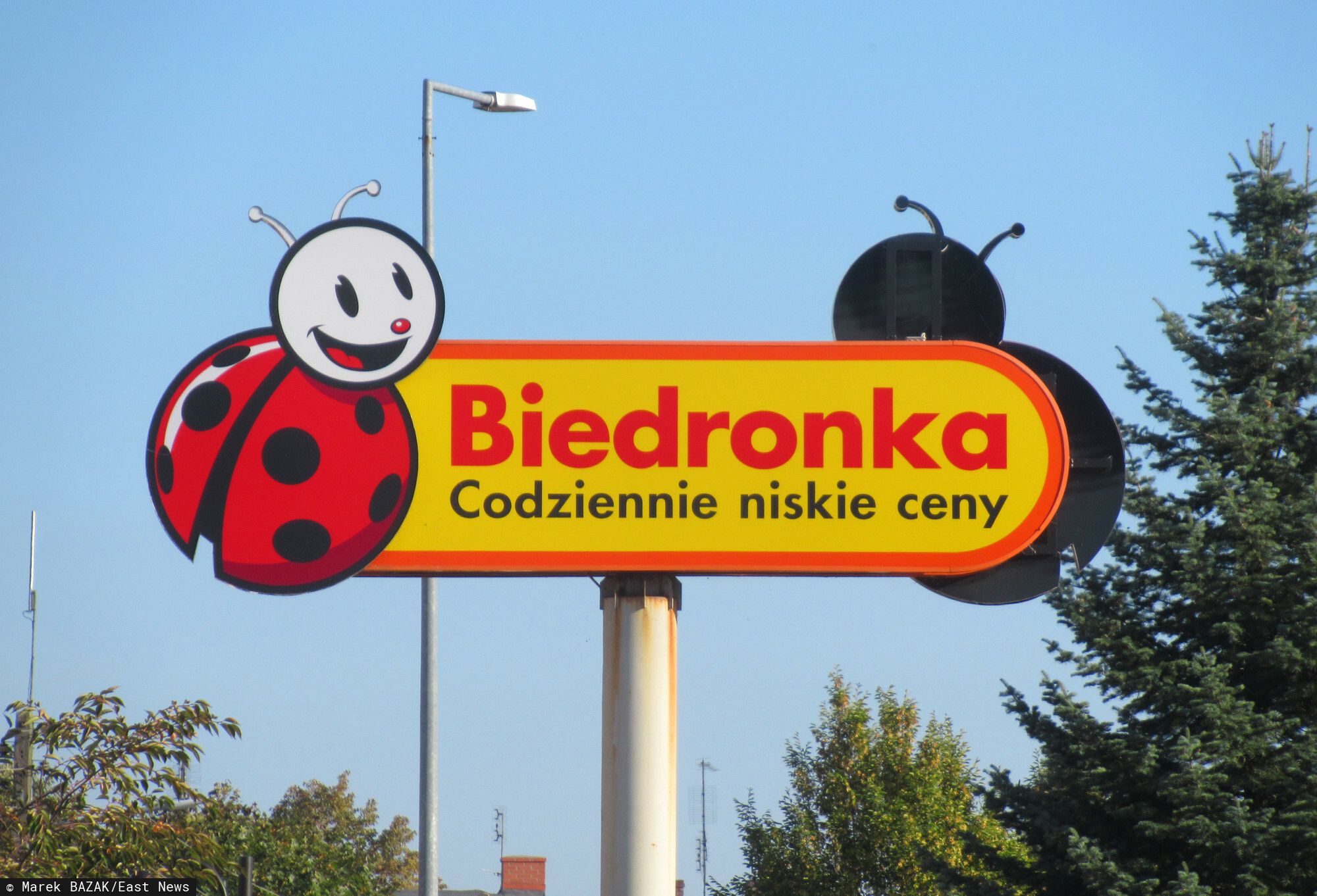 Biedronka logo