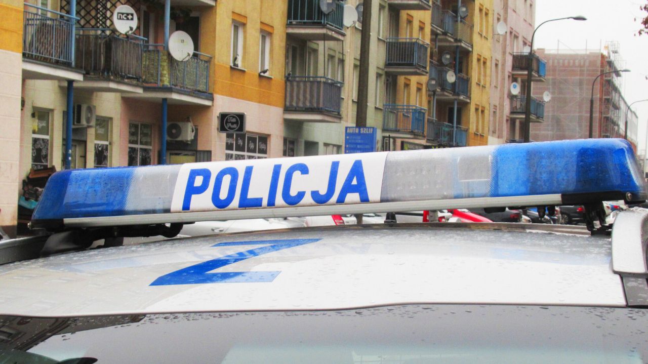 policja
