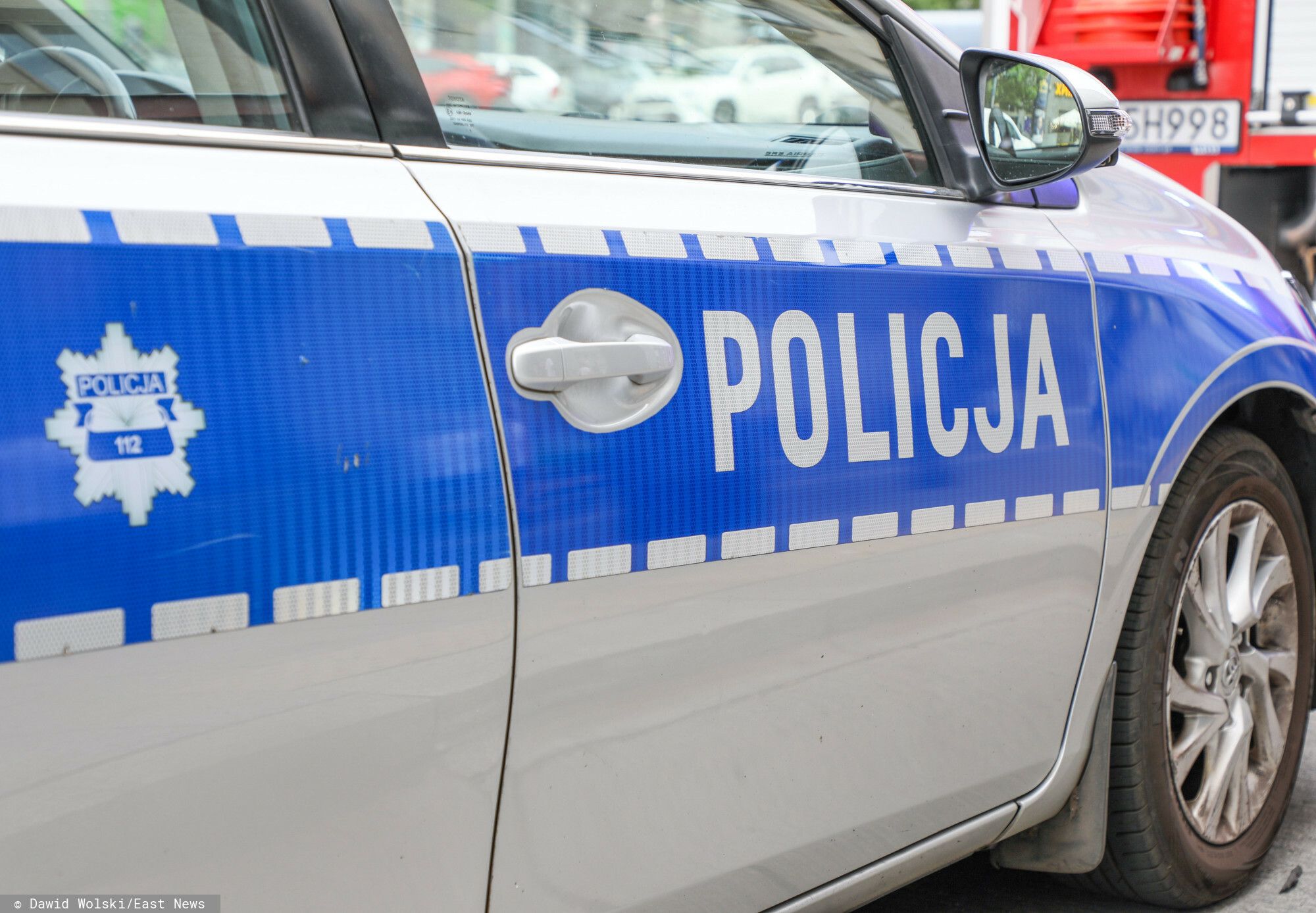Śmiertelny wypadek nad Wisłą. Przewrócone drzewo przygniotło mężczyznę