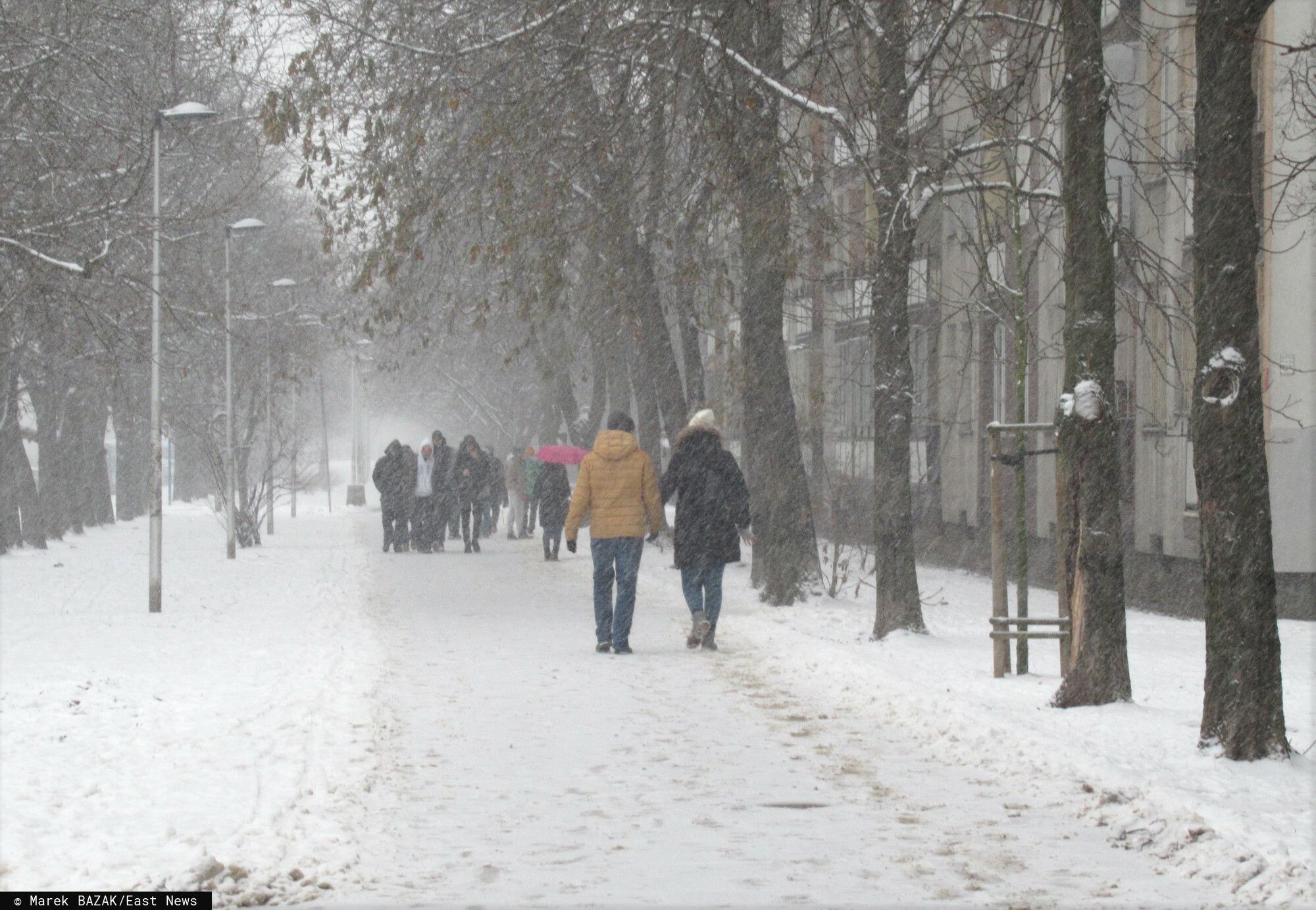 śnieg zima ludzie spacer