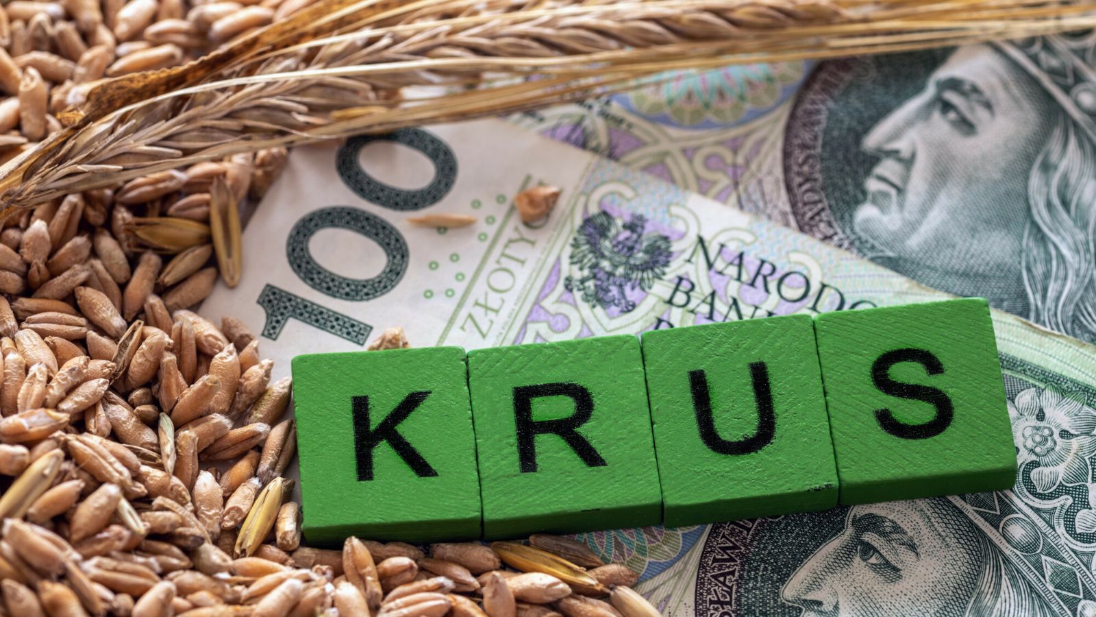 Rolniku, sprawdź skrzynkę. KRUS wysyła pisma do milionów Polaków. W środku ważna informacja