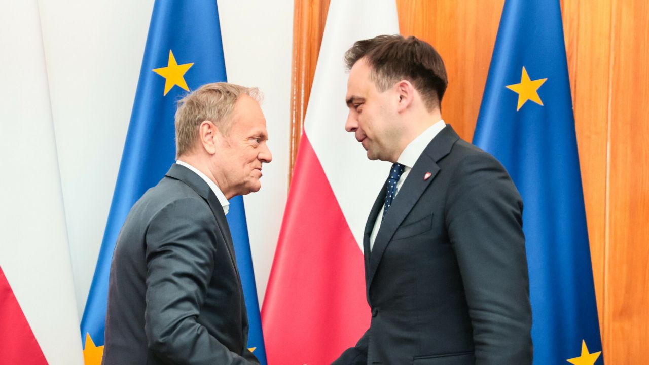 tusk, domański