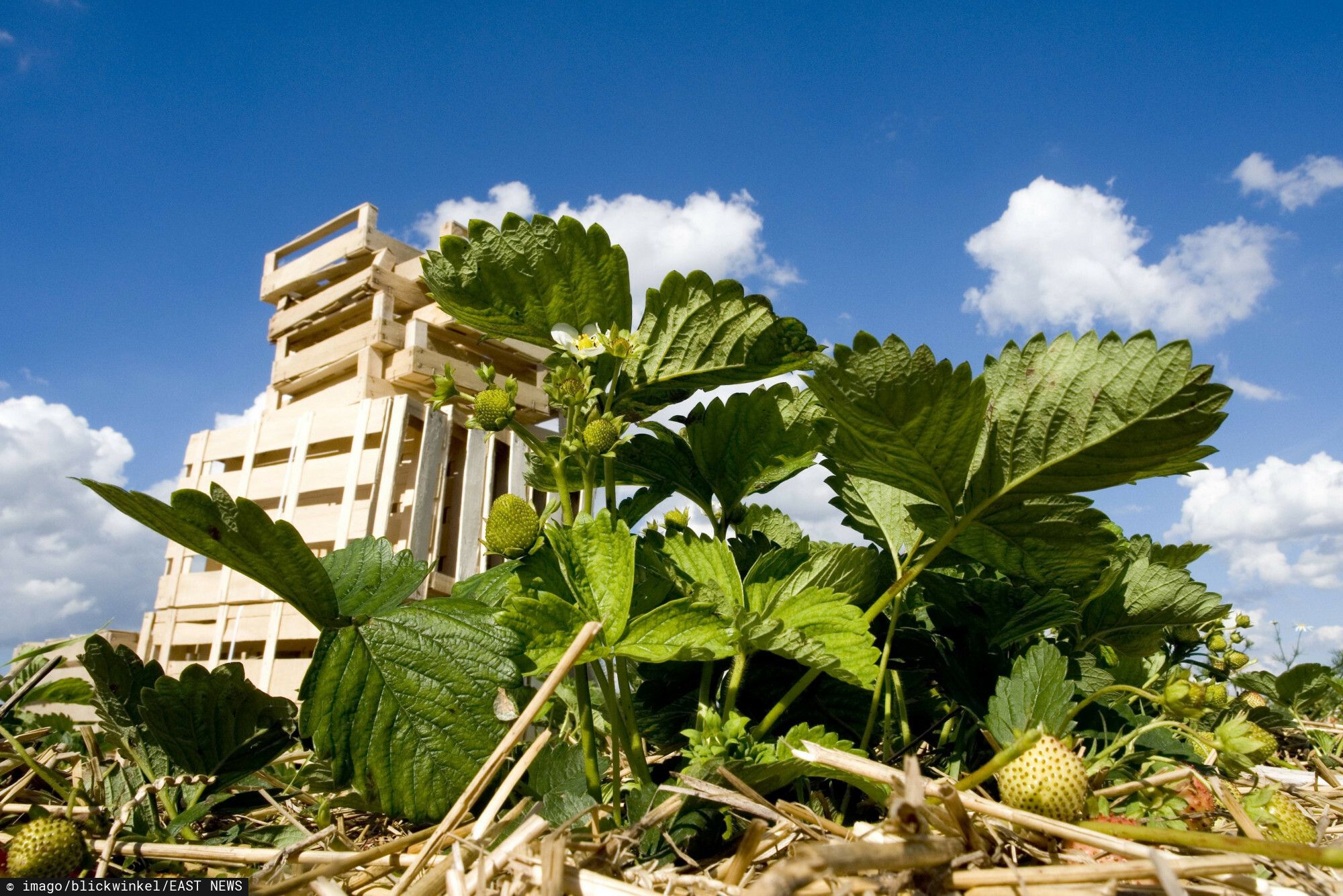 Szukają Polaków do pracy i oferują nawet 16,8 tys. zł "na rękę". Wymagania są minimalne