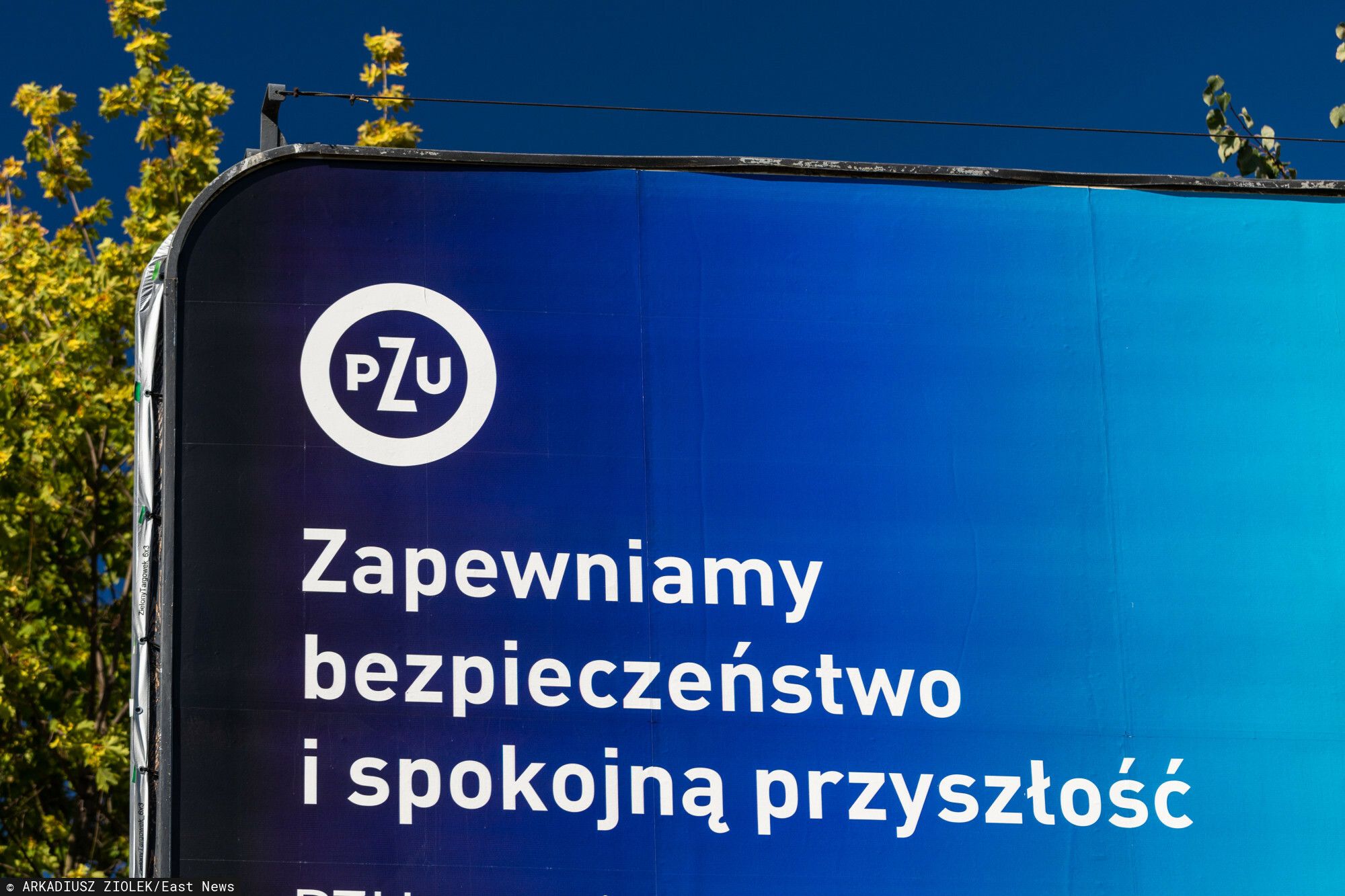 Miliardy na koncie polskiego giganta. Niebotyczny wynik miażdży oczekiwania