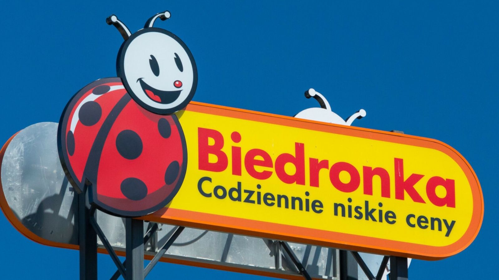 Takiej kolekcji w Biedronce jeszcze nie było. Od poniedziałku markowe buty za 149 zł, klienci napchają koszyki