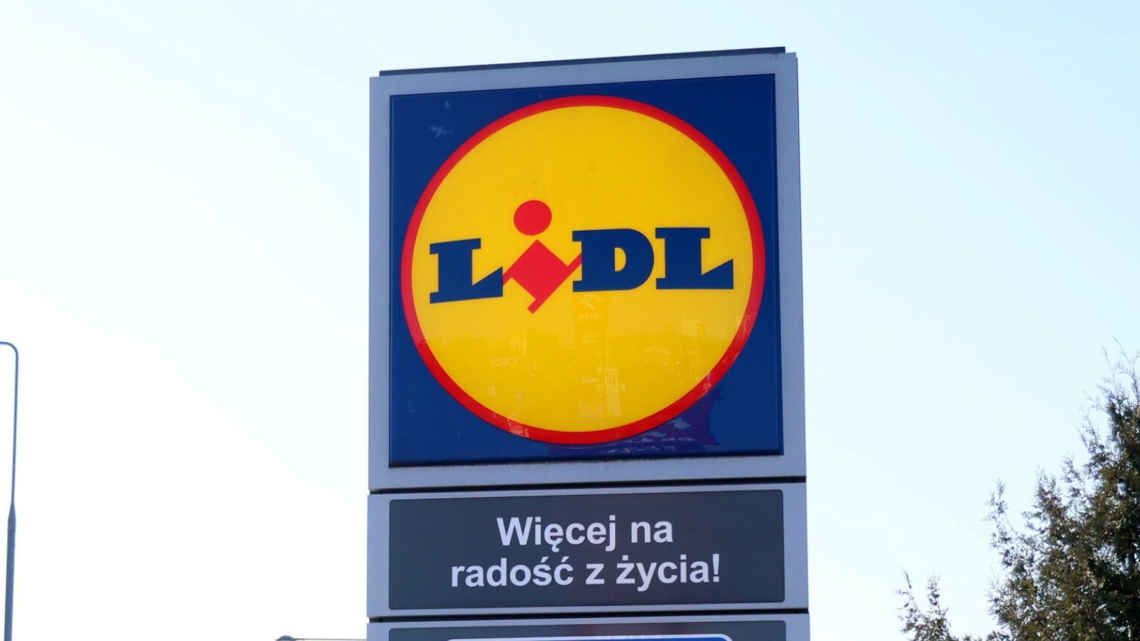 Tylko do końca tygodnia w Lidlu. Na takie promocyjne perełki czekali klienci