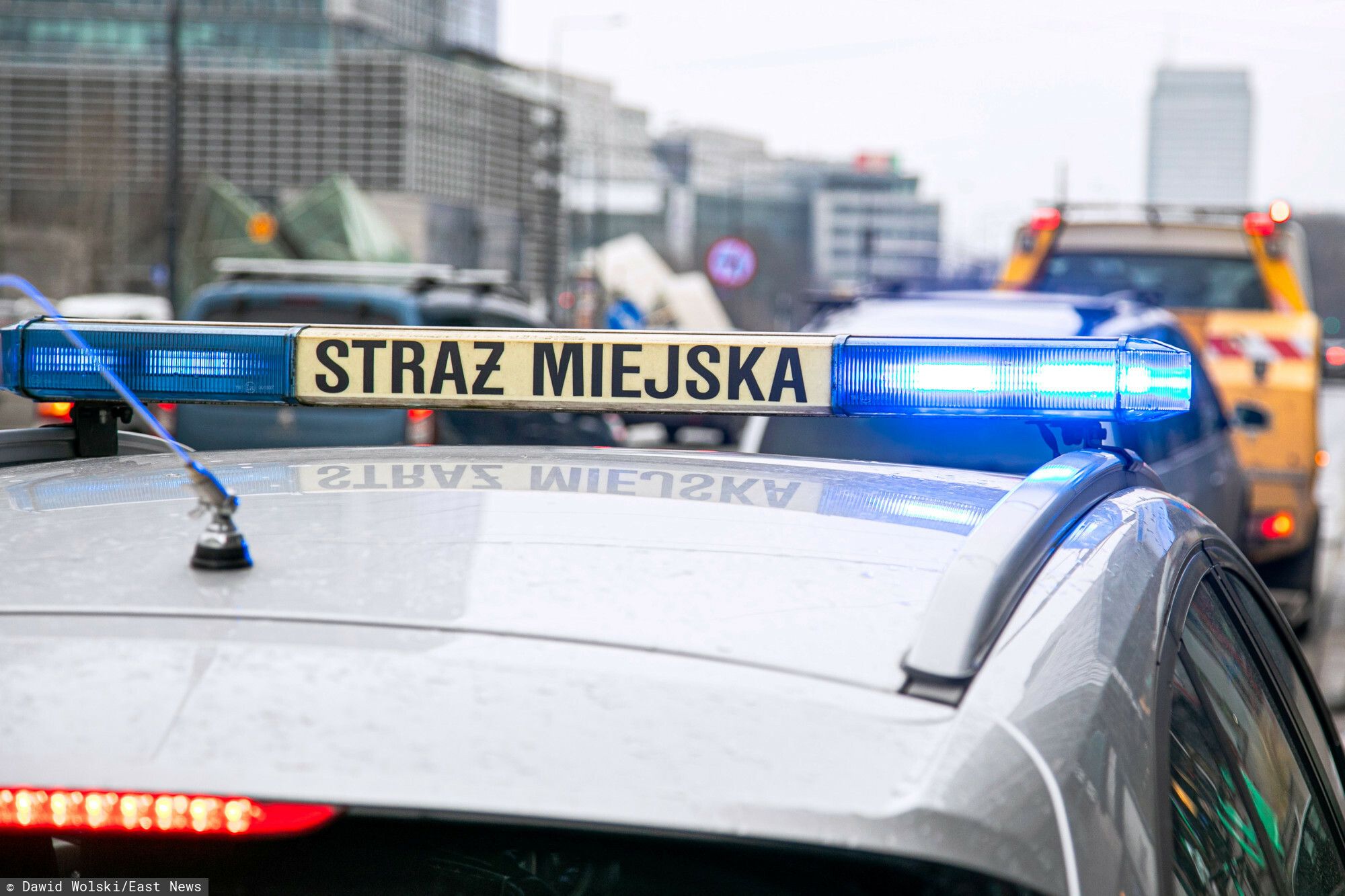 Straż miejska może zniknąć? Petycja do prezydenta przewiduje dwa scenariusze