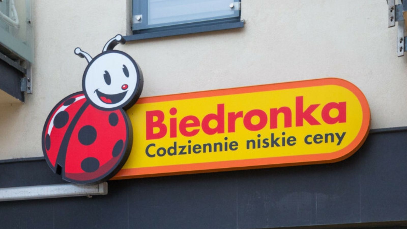 Nowe promocje w Biedronce na Wszystkich Świętych. Znicze już od 9,99 zł, promocje 4+4, a chryzantemy za symboliczne grosze