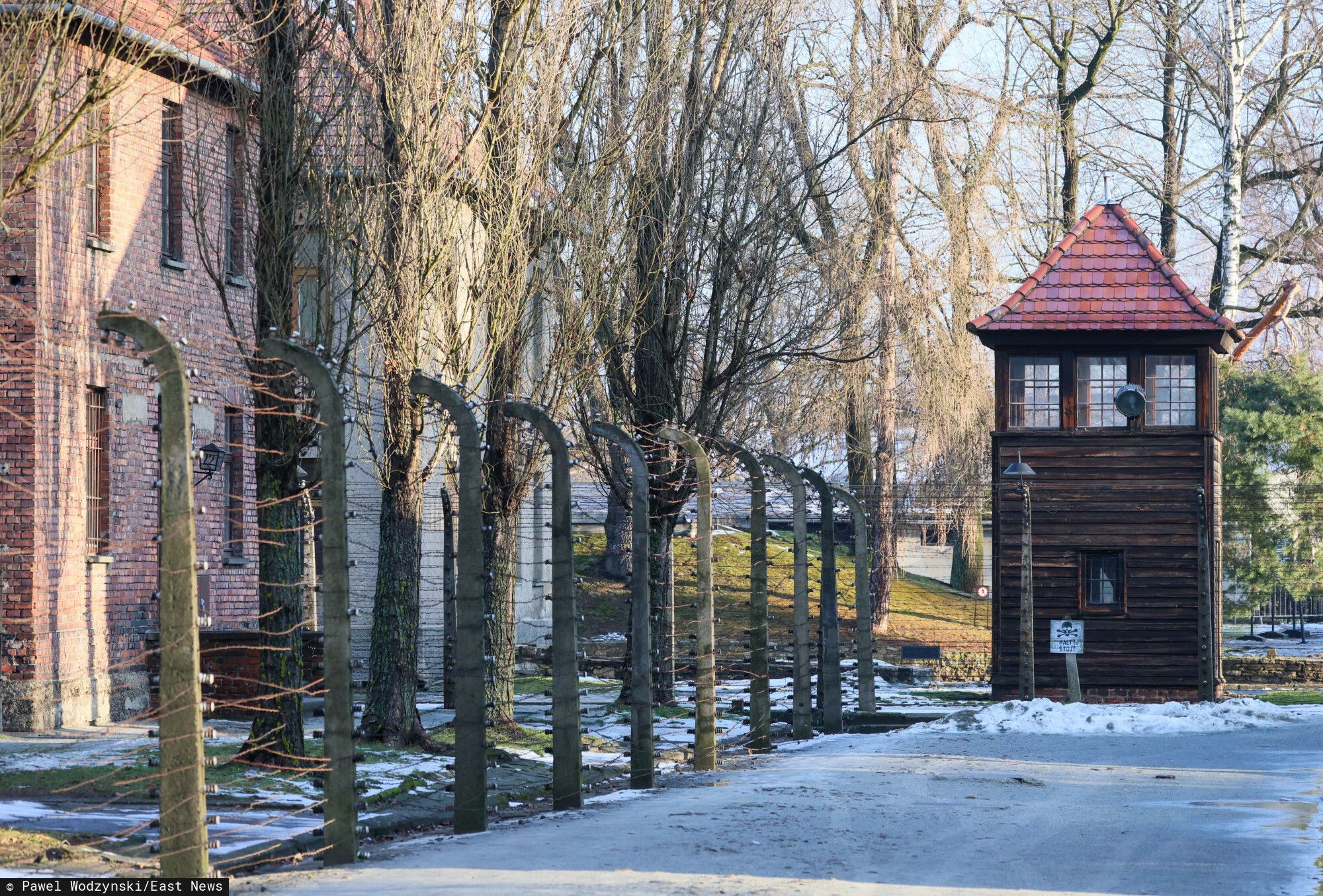 Muzeum Auschwitz-Birkenau zmienia zasady wstępu. Przed kasami kwitnie niemoralny proceder