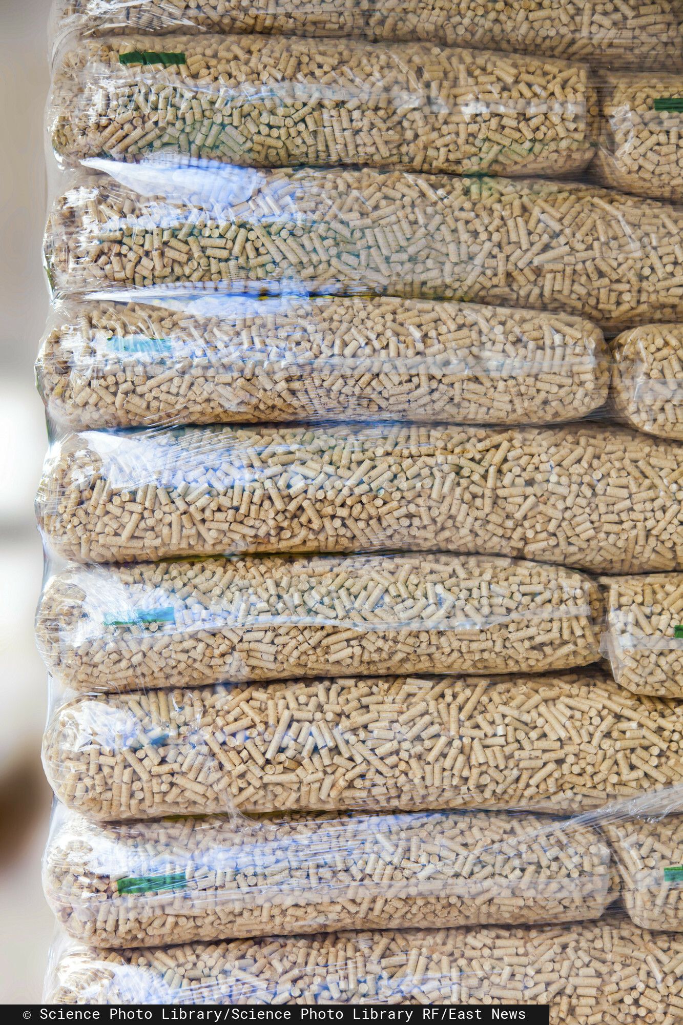 Puste składy i długie kolejki. Niesłychane, co dzieje się z cenami pelletu, Polacy załamują ręce