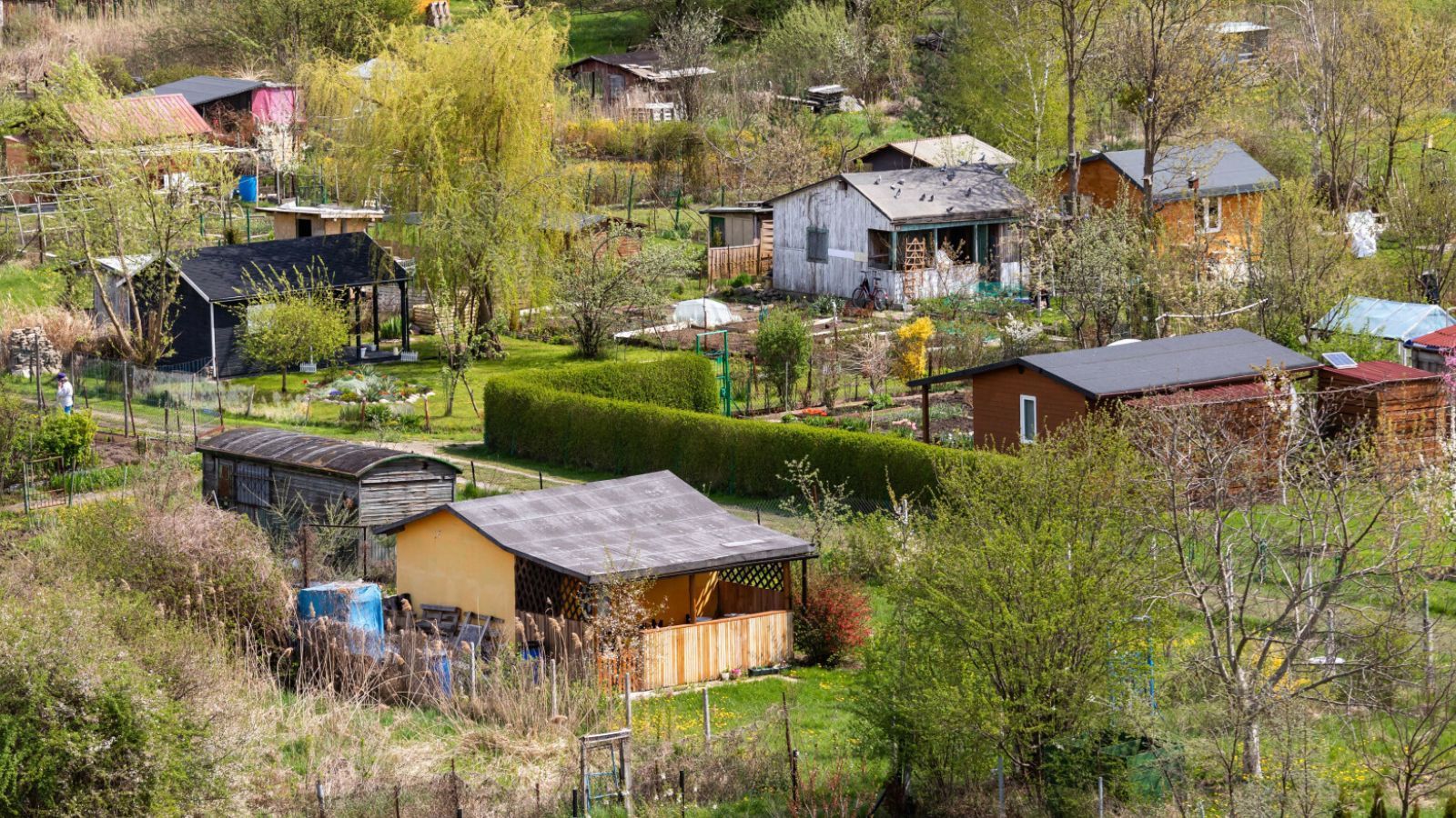 Nawet 50 tys. dla działkowców. Zyska tysiące mieszkańców, trzeba spełnić proste warunki