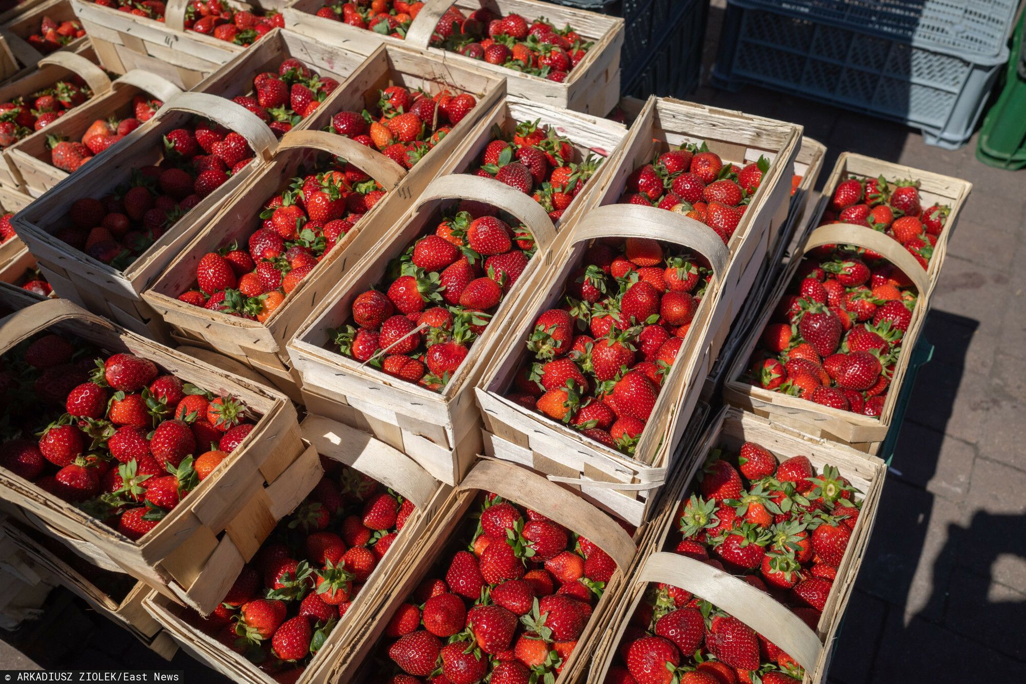 Szukają Polaków do pracy i oferują nawet 16,8 tys. zł "na rękę". Wymagania są minimalne