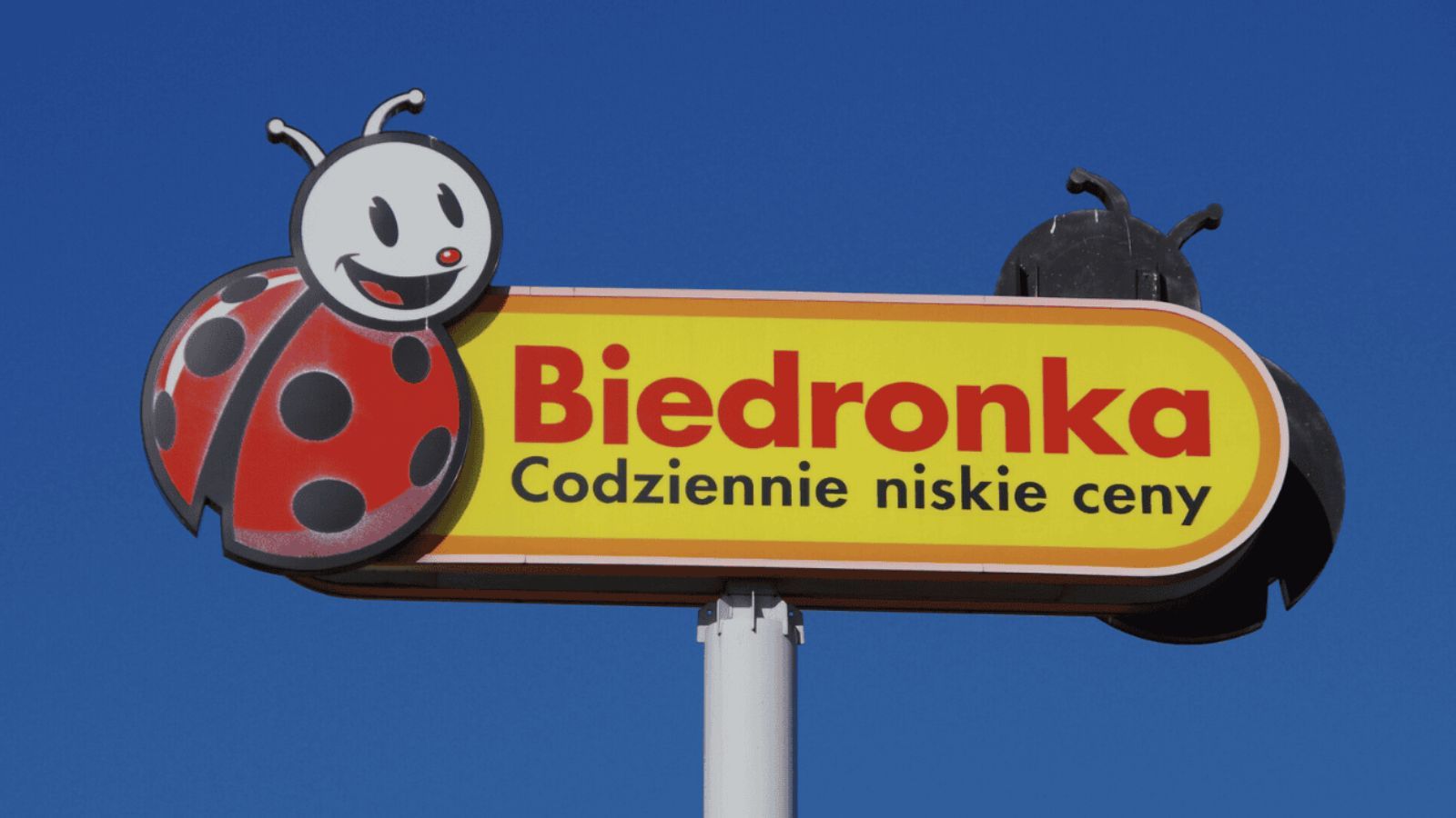 Biedronka rozdaje masło za darmo. Jest jeden warunek. 8.12 ludzie ruszą do sklepów w całej Polsce