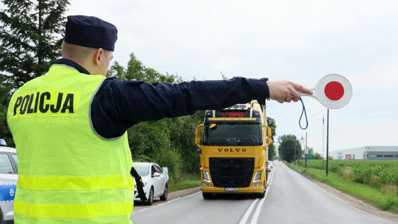 policja