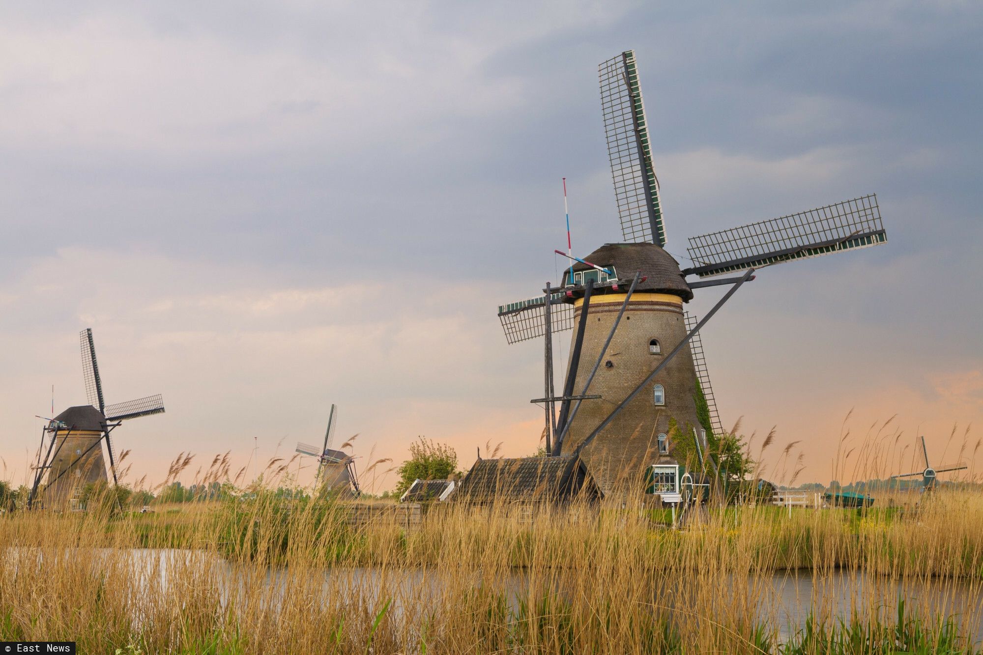 Nie tylko Wielka Brytania i Niemcy. Polacy masowo "ewakuują się" z kolejnego kraju