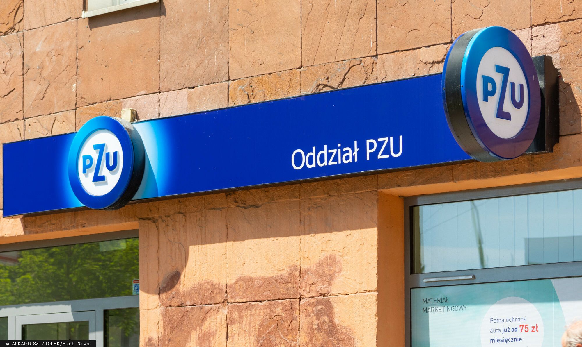 Miliardy na koncie polskiego giganta. Niebotyczny wynik miażdży oczekiwania