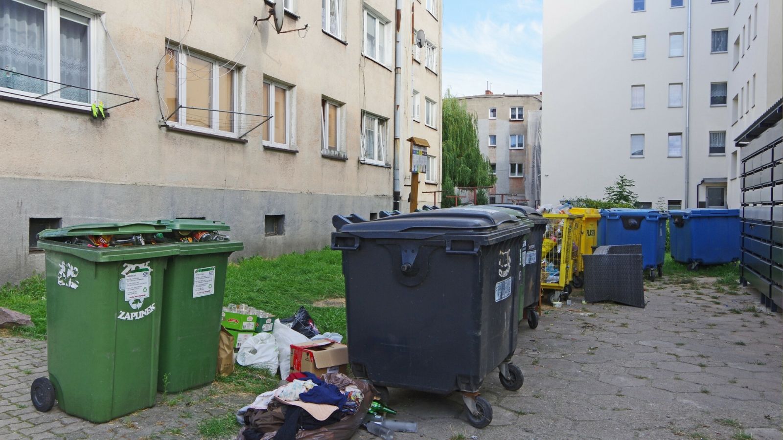 Te osoby nie muszą płacić za wywóz śmieci. System przewiduje ulgi dla mieszkańców