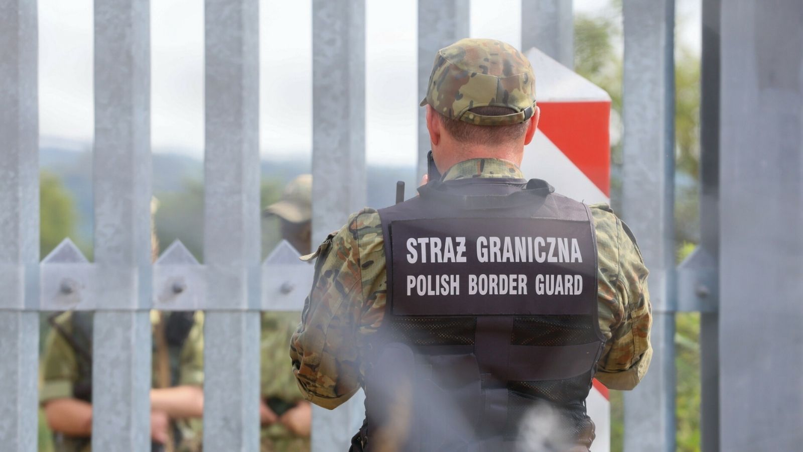 Ważny komunikat MSWiA i Straży Granicznej. Ujawniono niepokojące dane