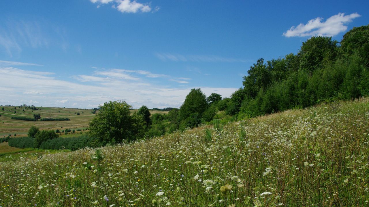 Roztocze