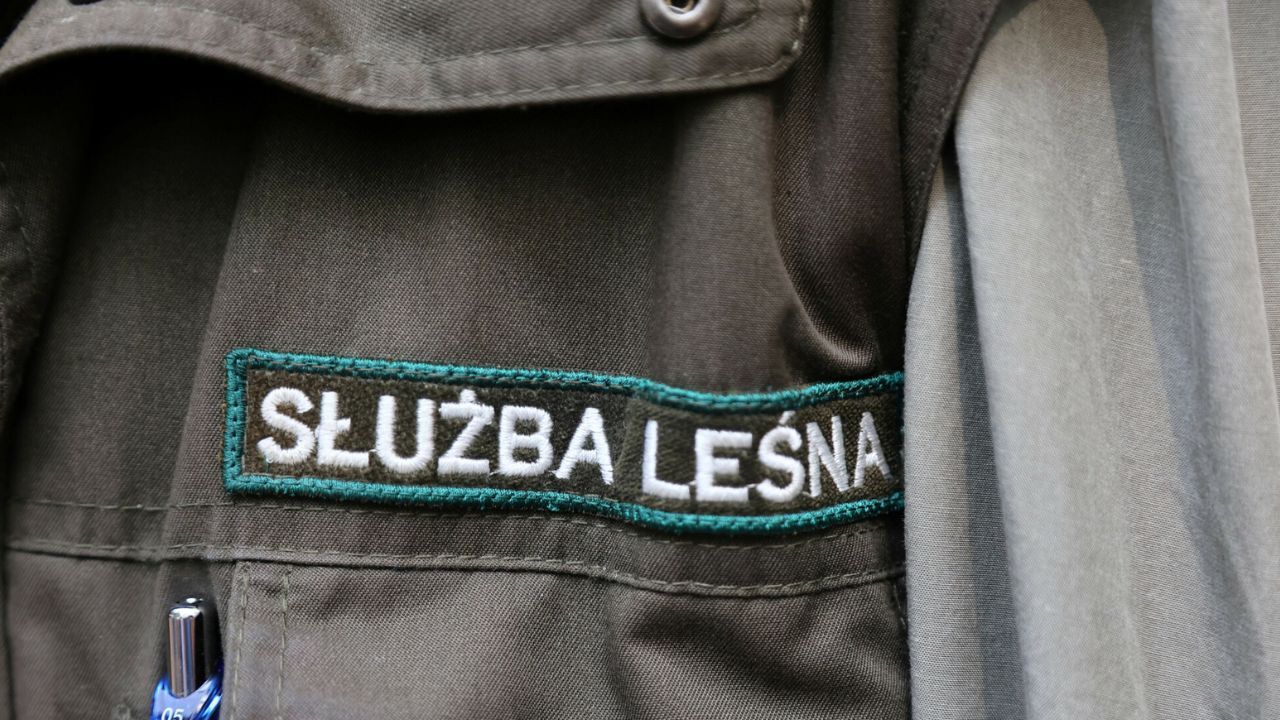 Służba leśna