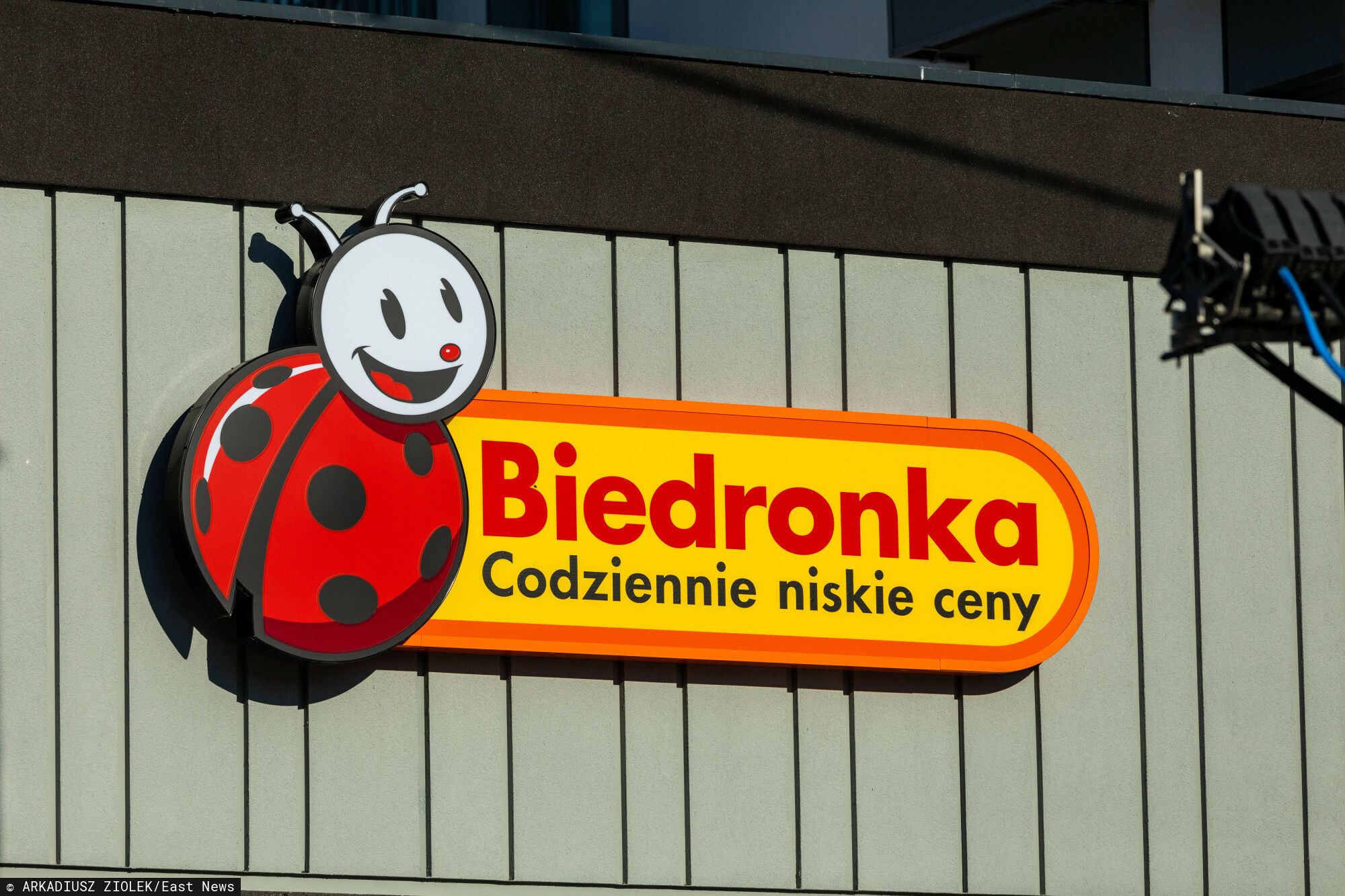 Biedronka