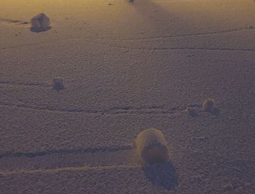 Wyjątkowe zjawisko meteorologiczne na polu. Mieszkańcy przecierali oczy ze zdumienia