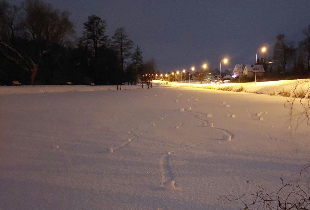 Wyjątkowe zjawisko meteorologiczne na polu. Mieszkańcy przecierali oczy ze zdumienia