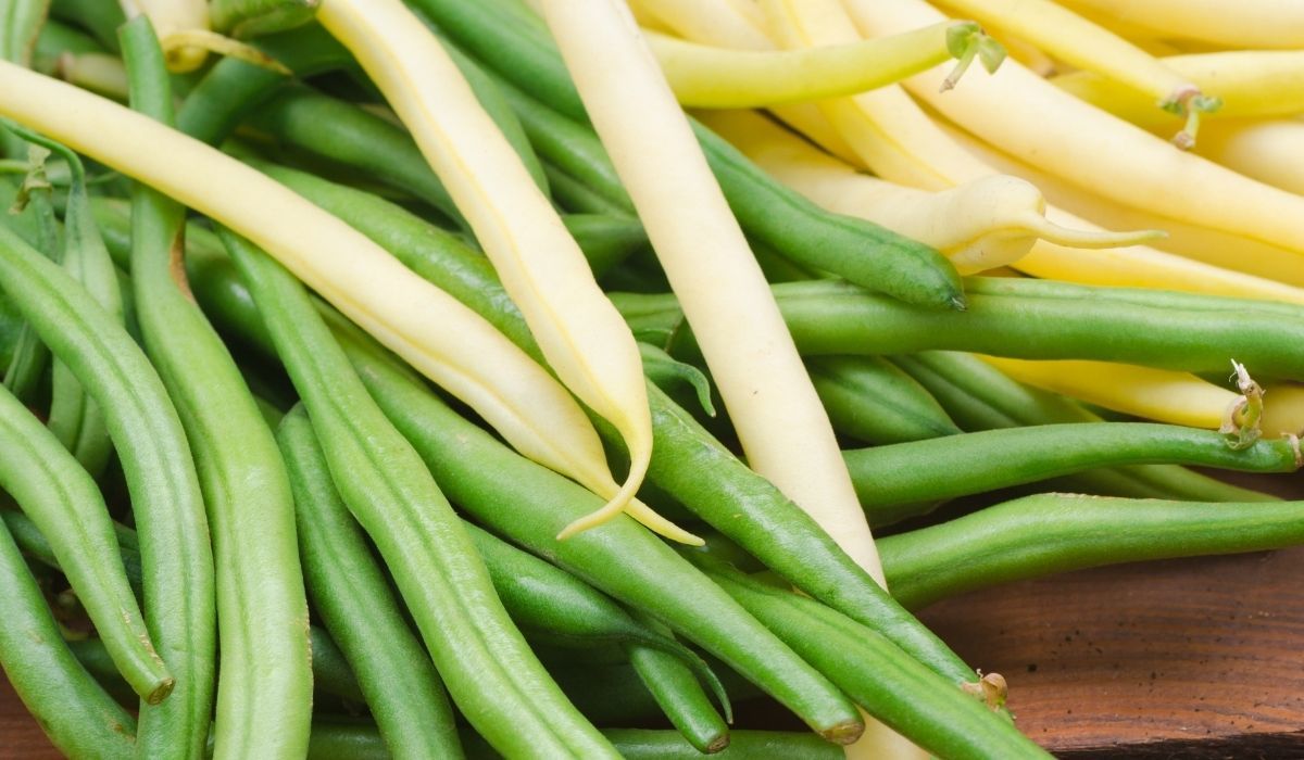 Zdrowsza jest fasolka żółta czy zielona? Odpowiedź nie jest oczywista