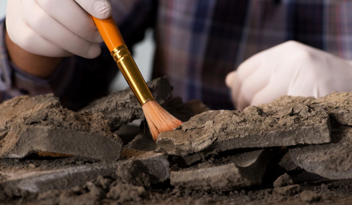 Archeolodzy odkryli ruiny rzymskiego miasta. Miejsce znaleziska zaskakuje