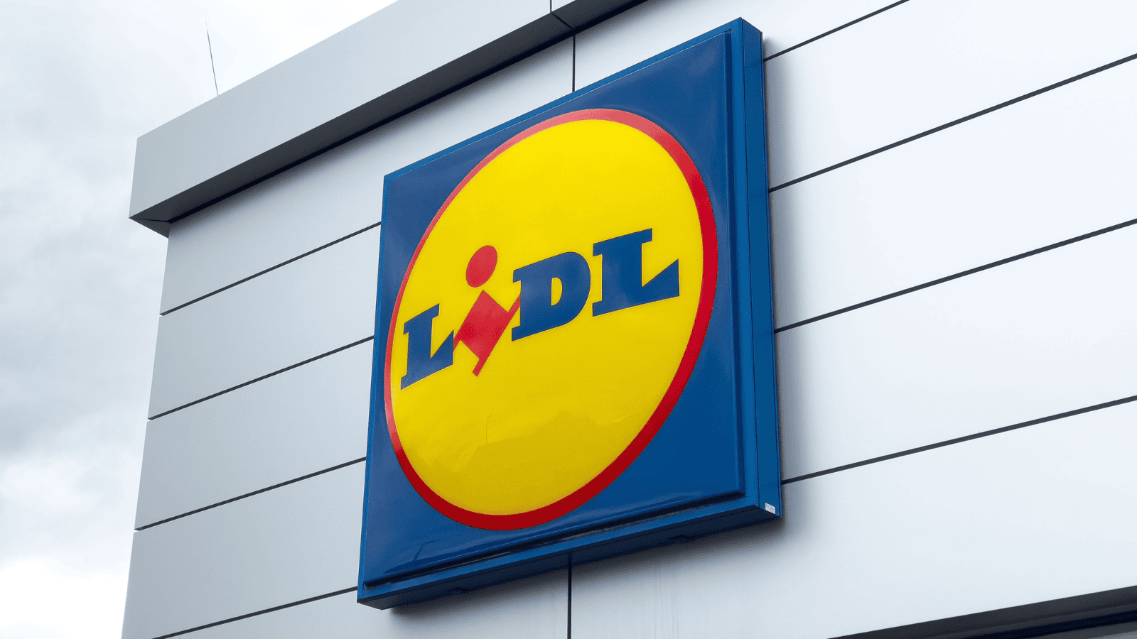 Lidl przyszykował specjalne promocje dla posiadaczy Karty Dużej Rodziny. Czas do końca sierpnia