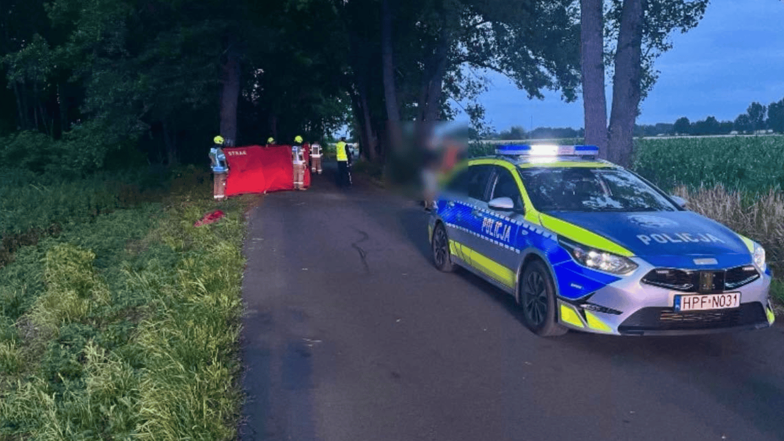 wypadek pod Łodzią