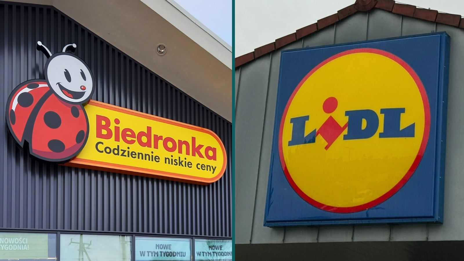 „8 w cenie 4“ kontra „4+4 gratis“. Lidl i Biedronka kuszą promocjami na znicze, trzeba uważać na szczegóły ofert