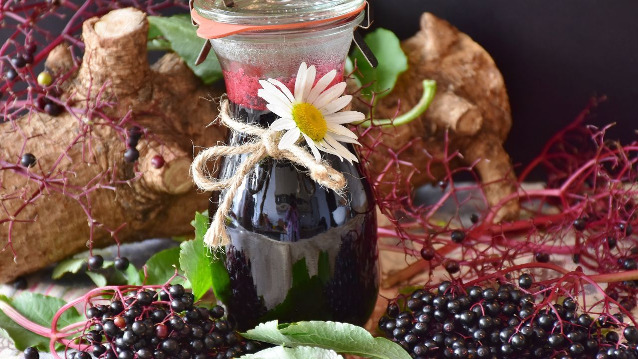 czarny bez