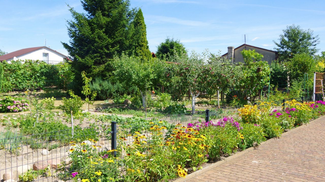 Ogród działkowy (zdjęcie poglądowe)