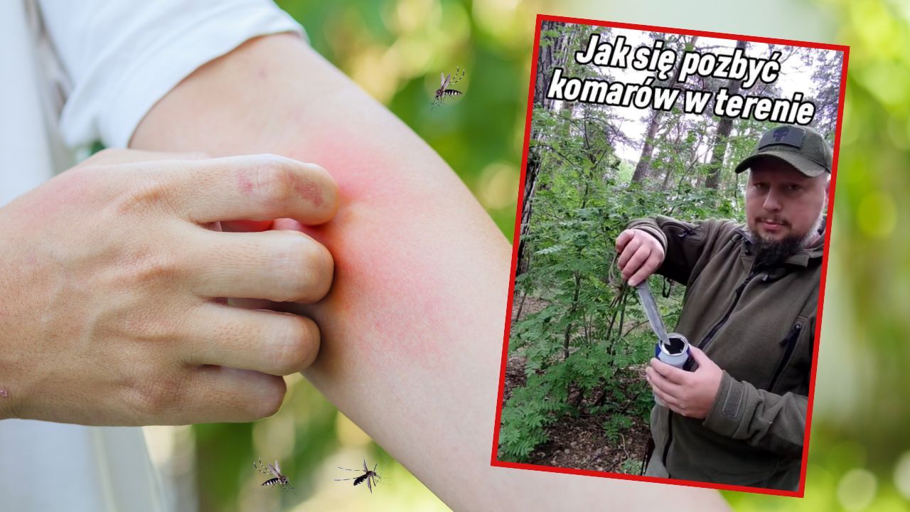 Sposób na komary