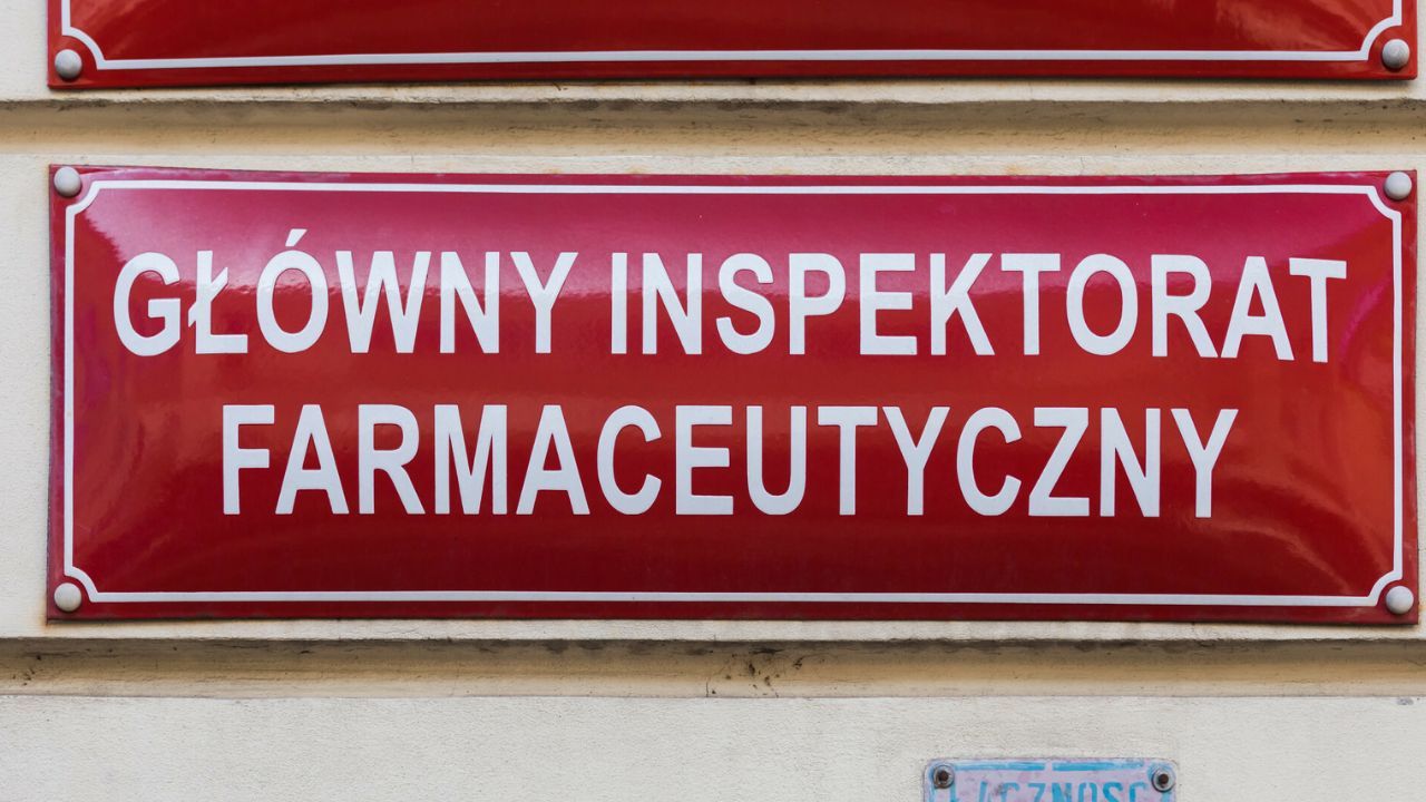 GIF Fot. ARKADIUSZ ZIOLEK East News.jpg