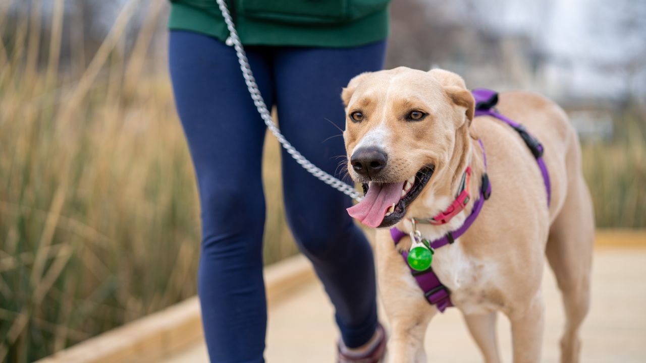 "Wyrzucili mnie". Skandal w restauracji "przyjaznej osobom z niepełnosprawnościami". W sieci zawrzało