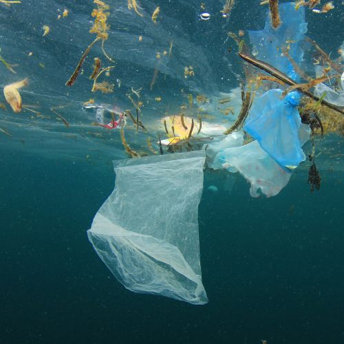 plastikowe śmieci w wodzie Fot. richcarey/Getty Images.jpg
