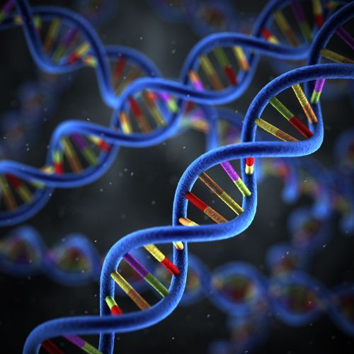 DNA Fot. enot-poloskun/Getty Images.jpg