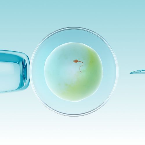 in vitro Fot. Cinefootage Visuals/Getty Images.jpg