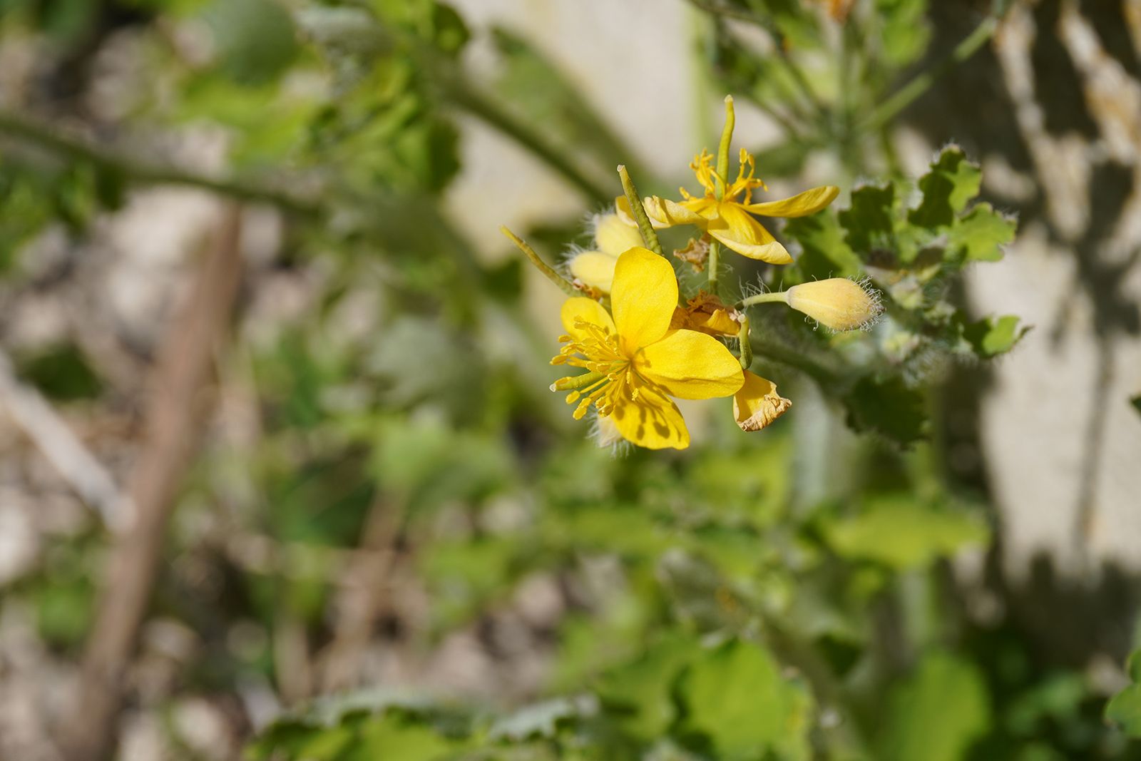 Zacznie się 4 maja. Produktów z tym składnikiem w Polsce już nie kupisz, Ministerstwo Zdrowia zdecydowało