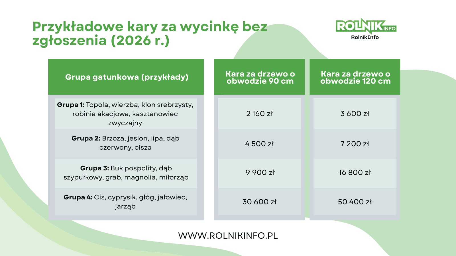Urzędnicy ruszają na kontrole ogrodów. Nawet 50 tys. zł kary za wycinkę. Tych roślin lepiej nie ruszać