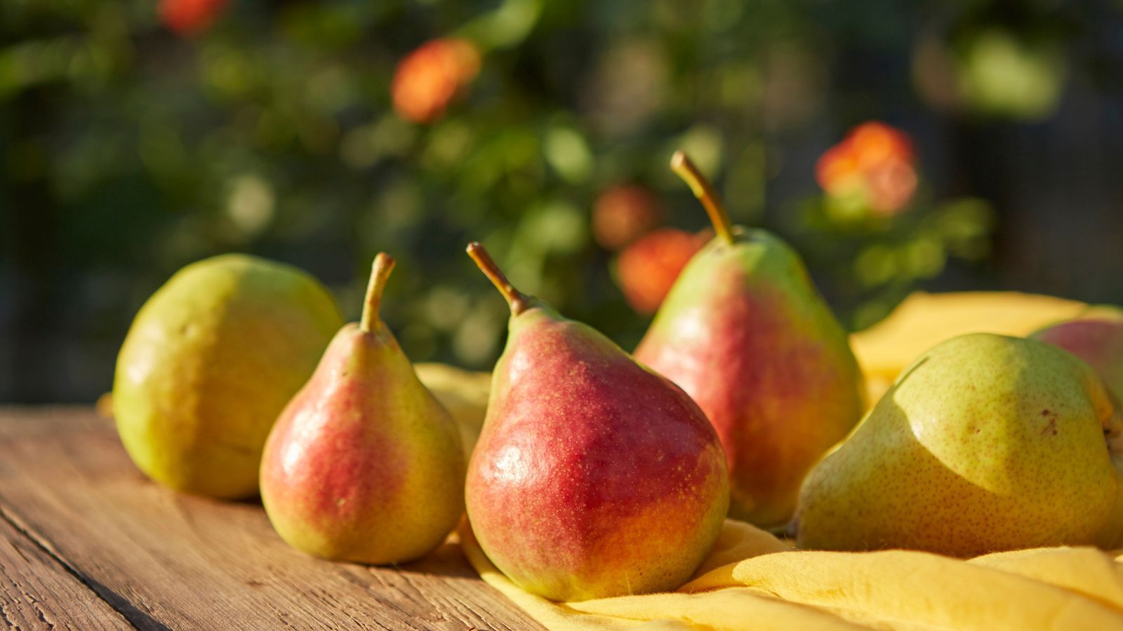 Jedz codziennie ten owoc. Wspiera jelita, pomaga schudnąć i poprawia koncentrację, tylko 57 kcal